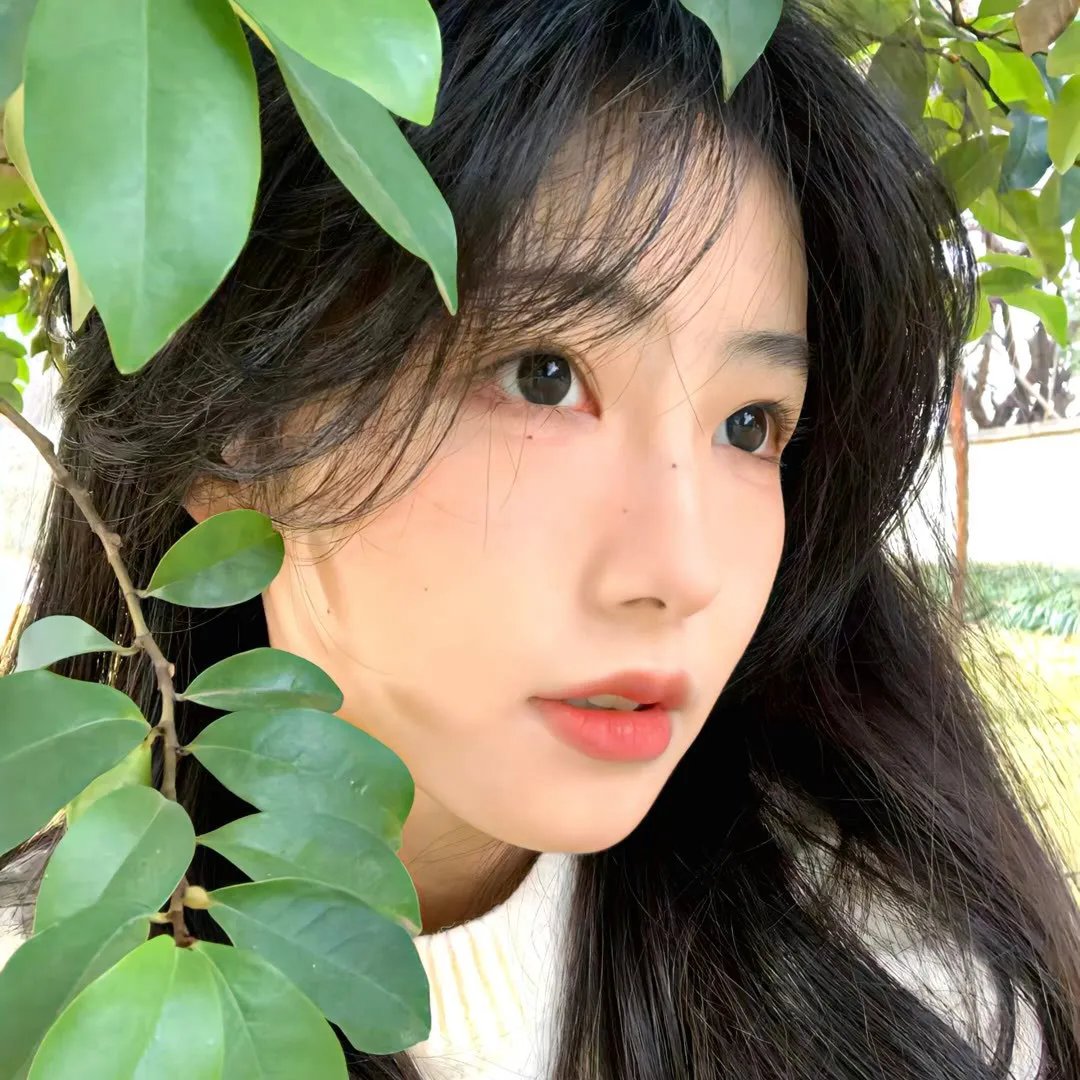 英雄虎胆美人恩